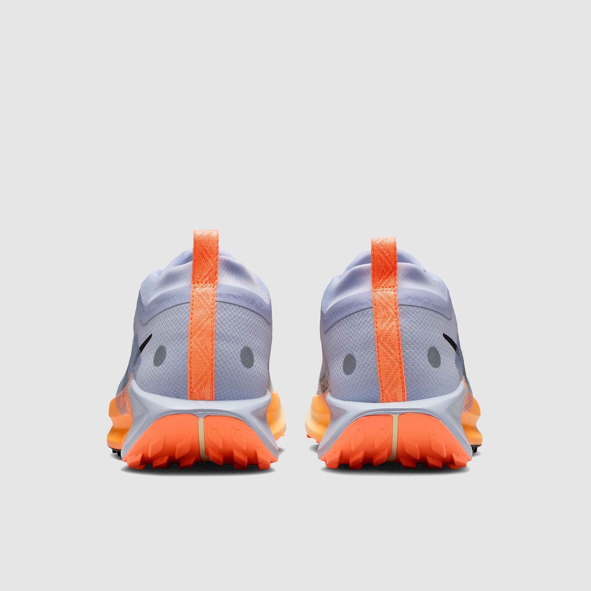 Nike Pegasus Trail 5 GORE-TEX Waterproof
