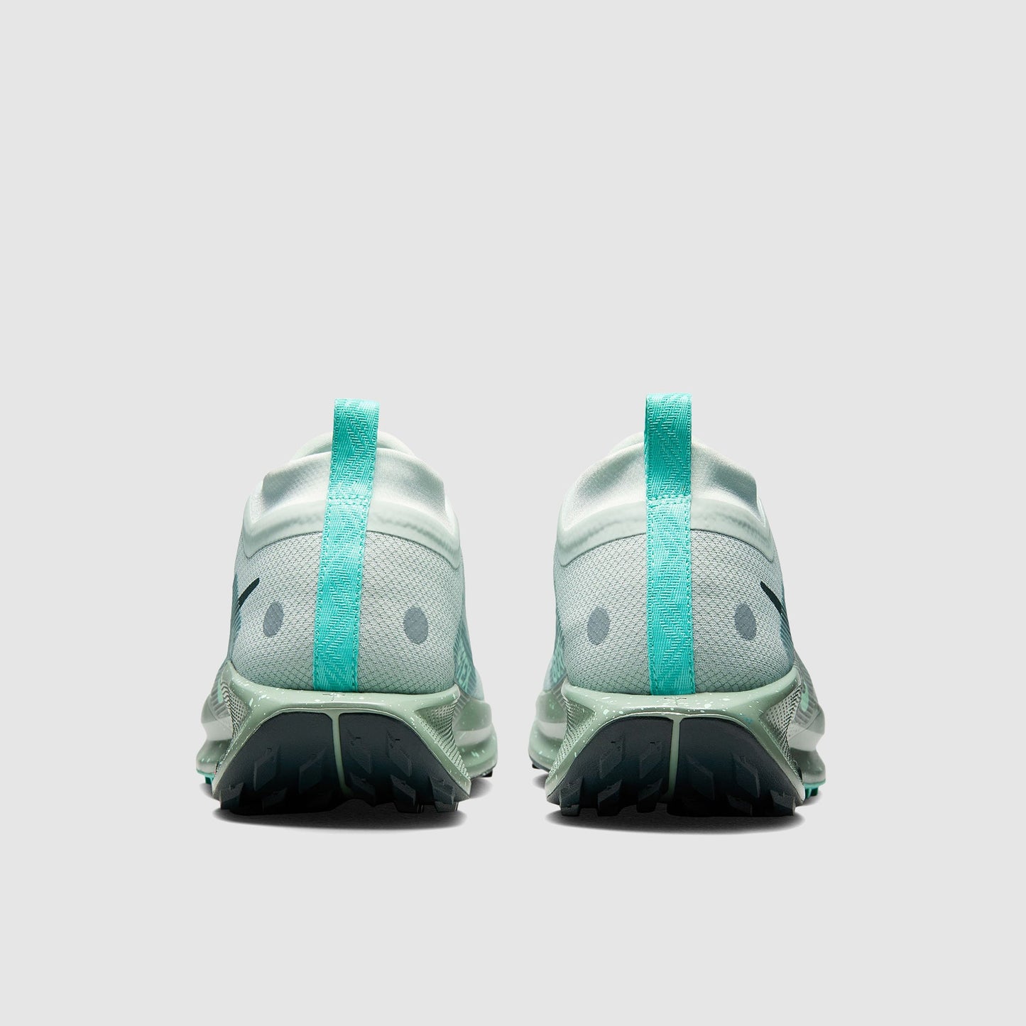 Nike Pegasus Trail 5 GORE-TEX Waterproof