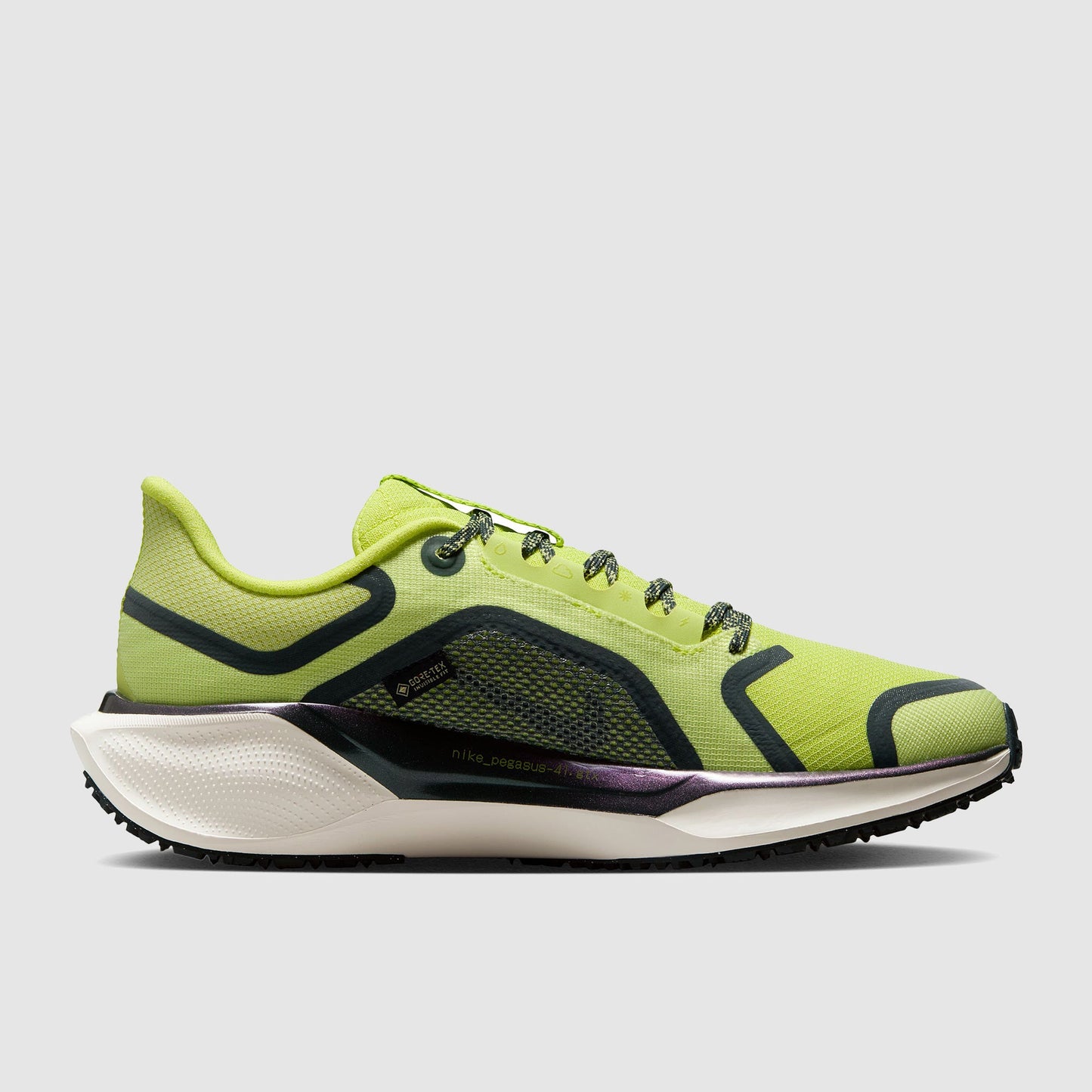 Nike Womens Pegasus 41 GORE-TEX Waterproof