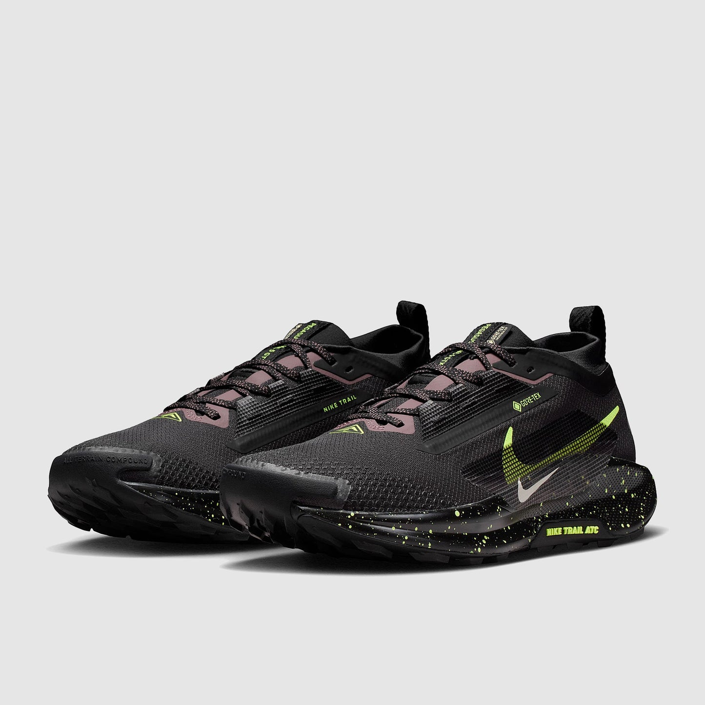 Nike Pegasus Trail 5 GORE-TEX
