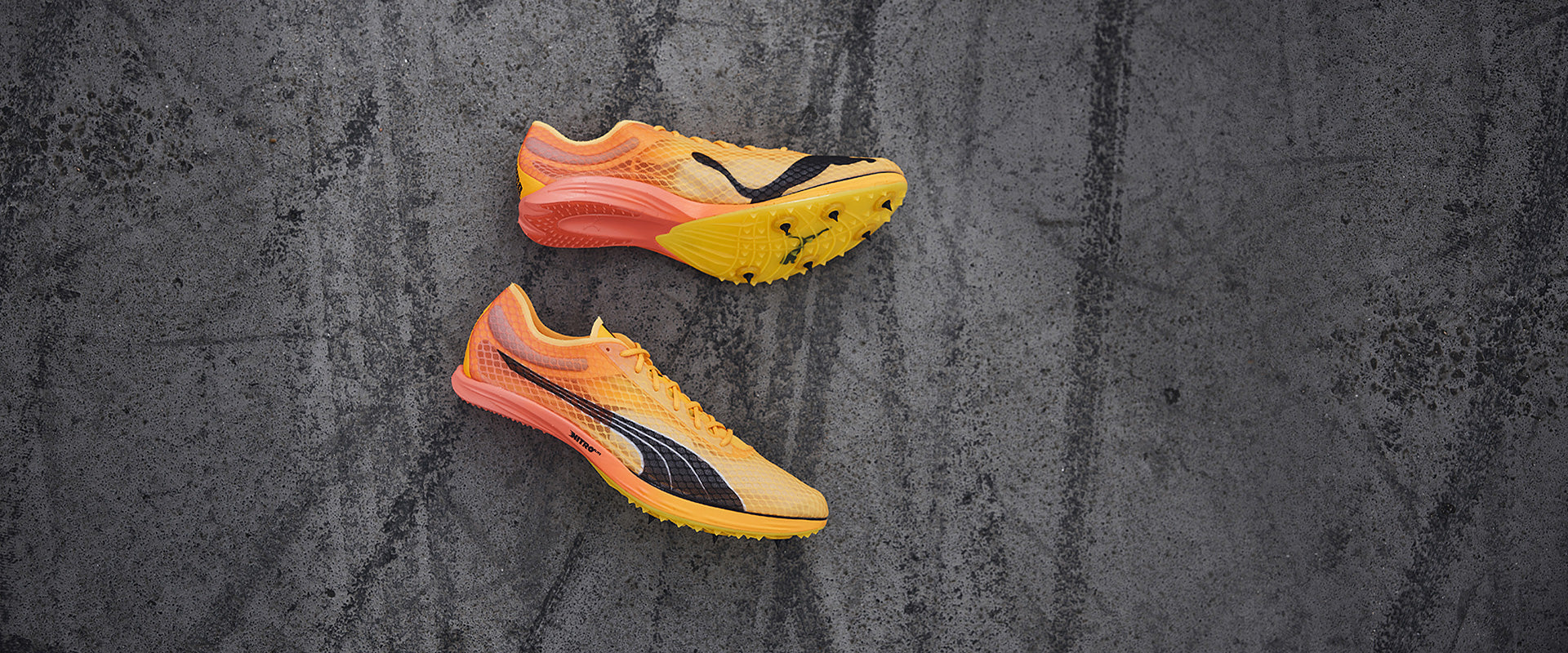 Puma evoSPEED Distance Nitro Elite+ 2 - Sun Stream-Sunset Glow